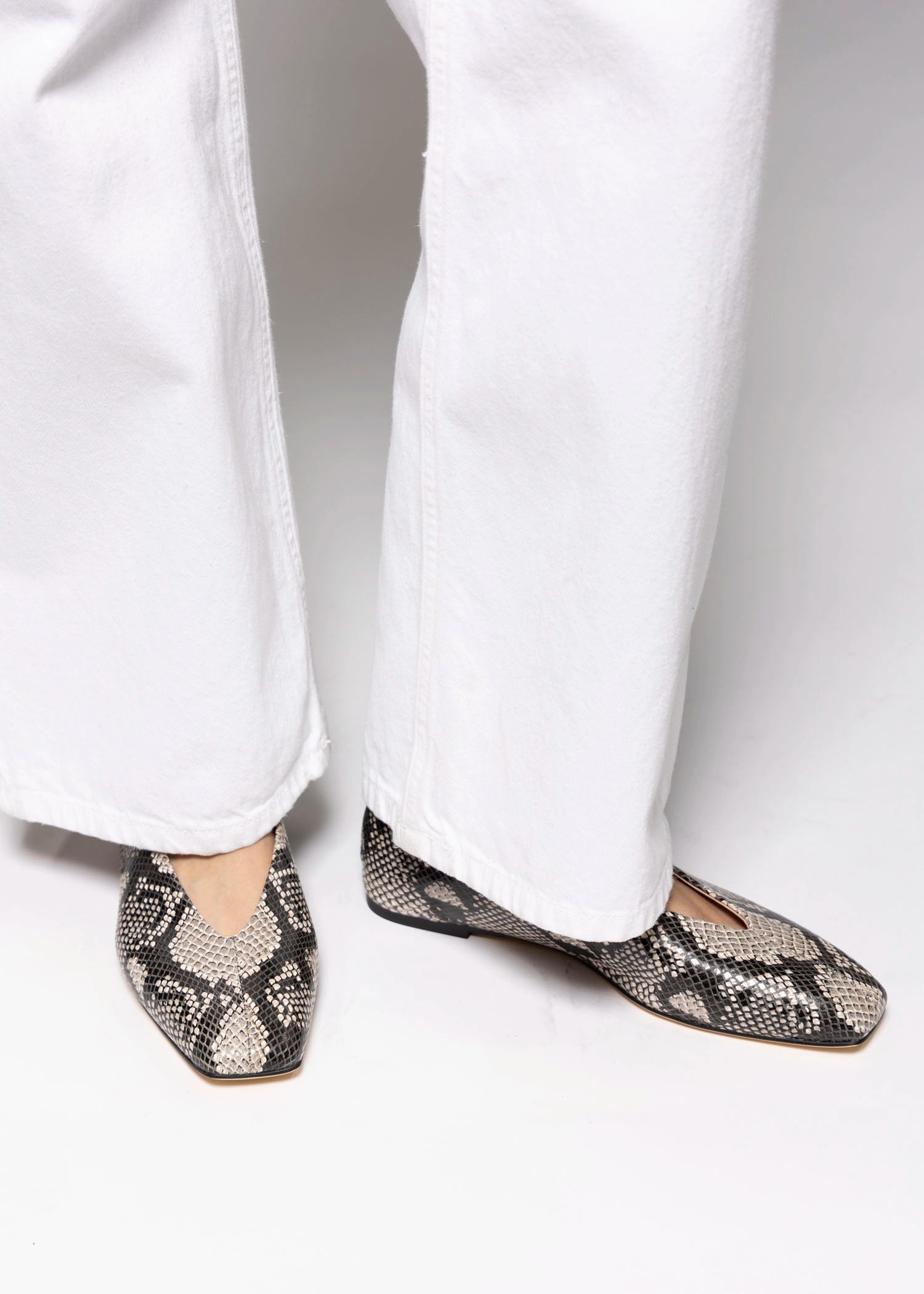 swatch_Ecru Snake Tony bianco brash flat