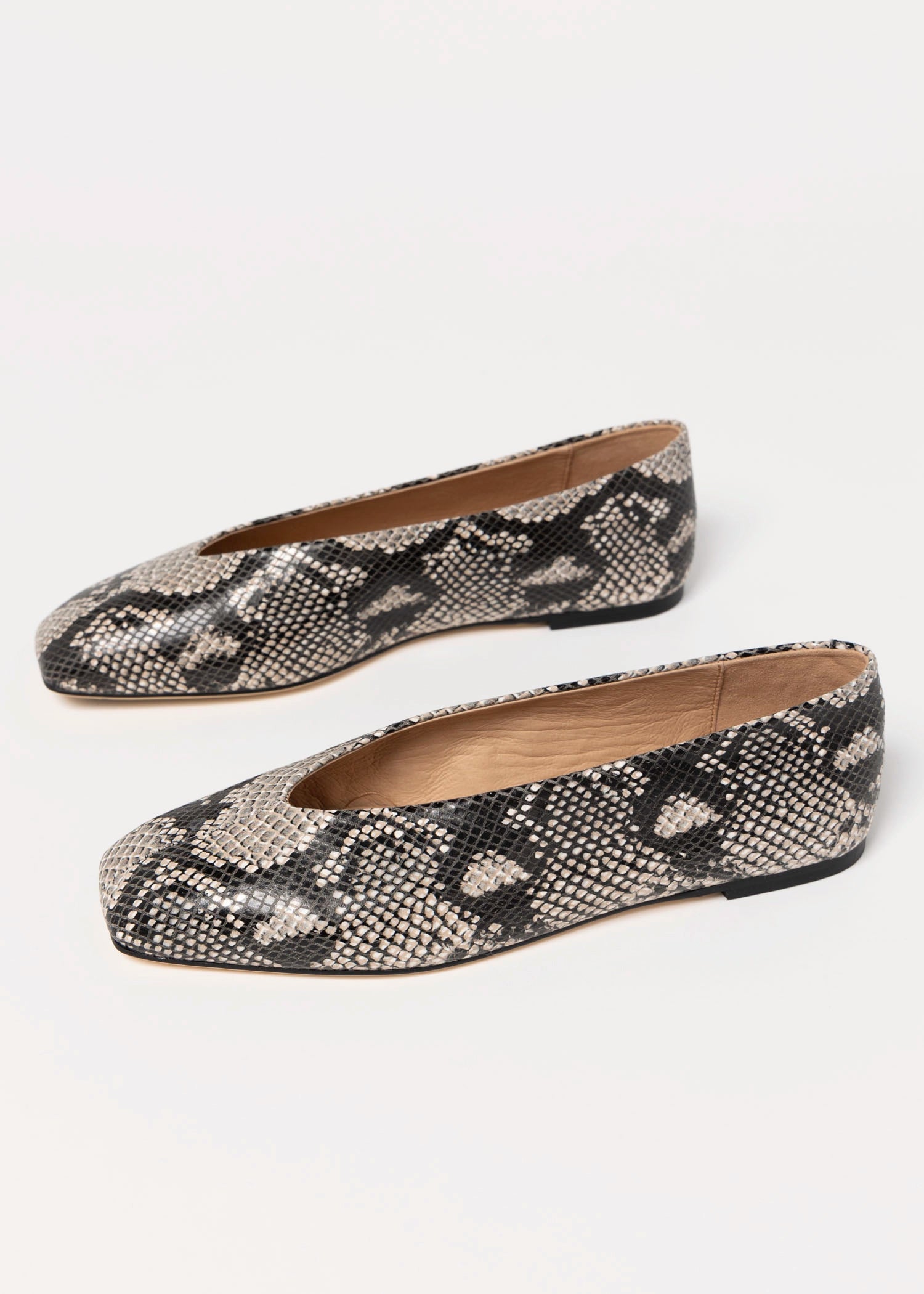 swatch_Ecru Snake Tony bianco brash flat