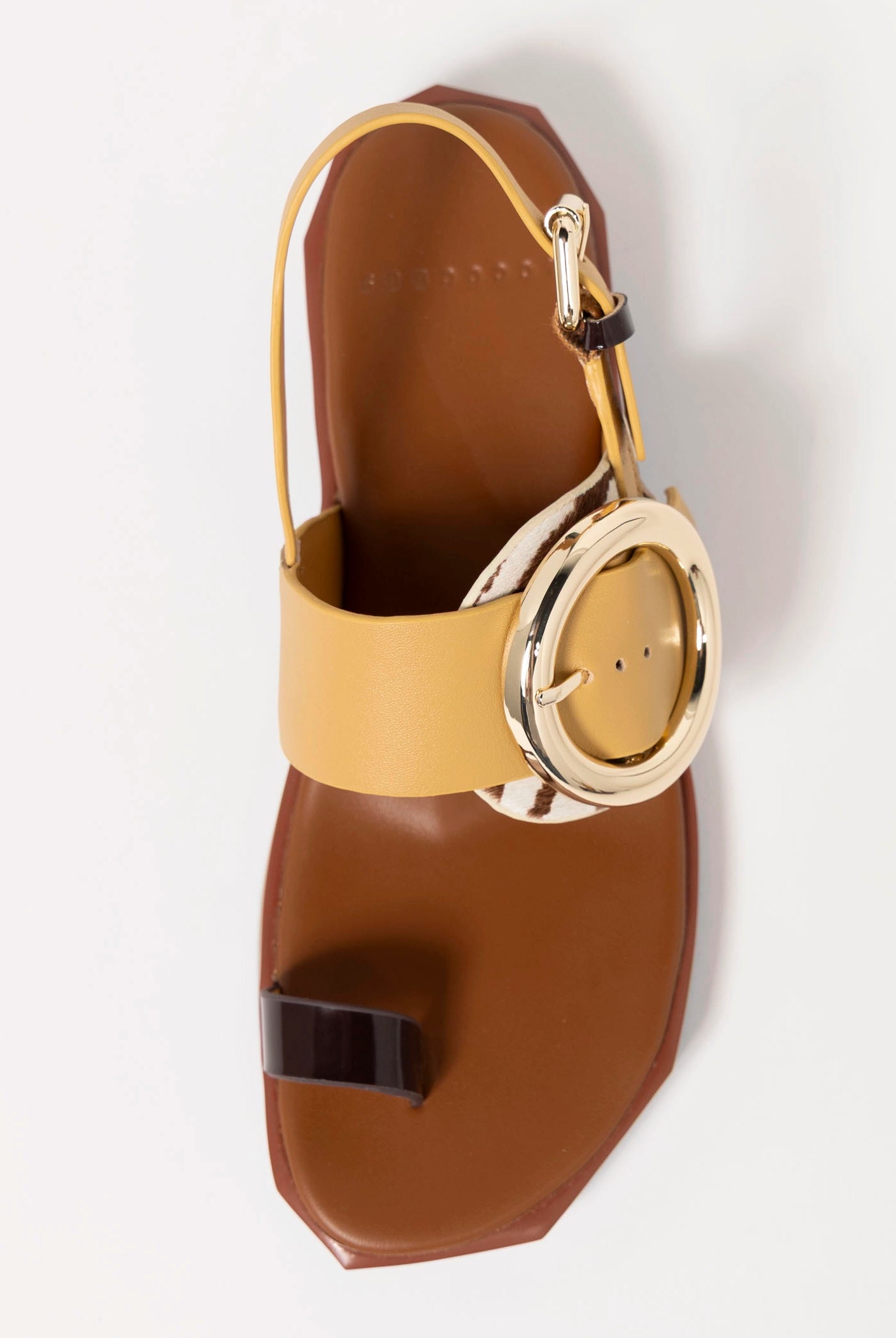 swatch_Zebra Mix 4CCCCees follin torus sandal