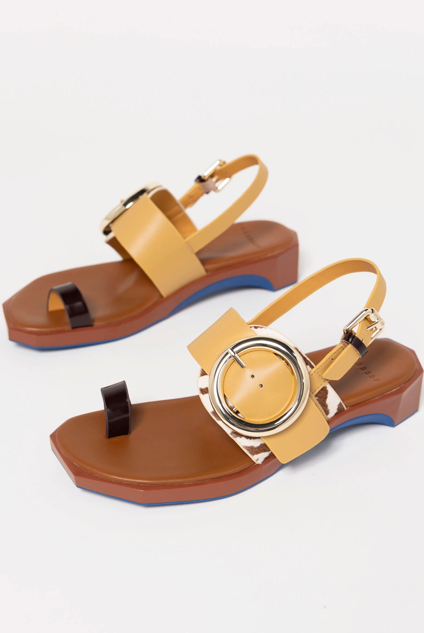 swatch_Zebra Mix 4CCCCees follin torus sandal