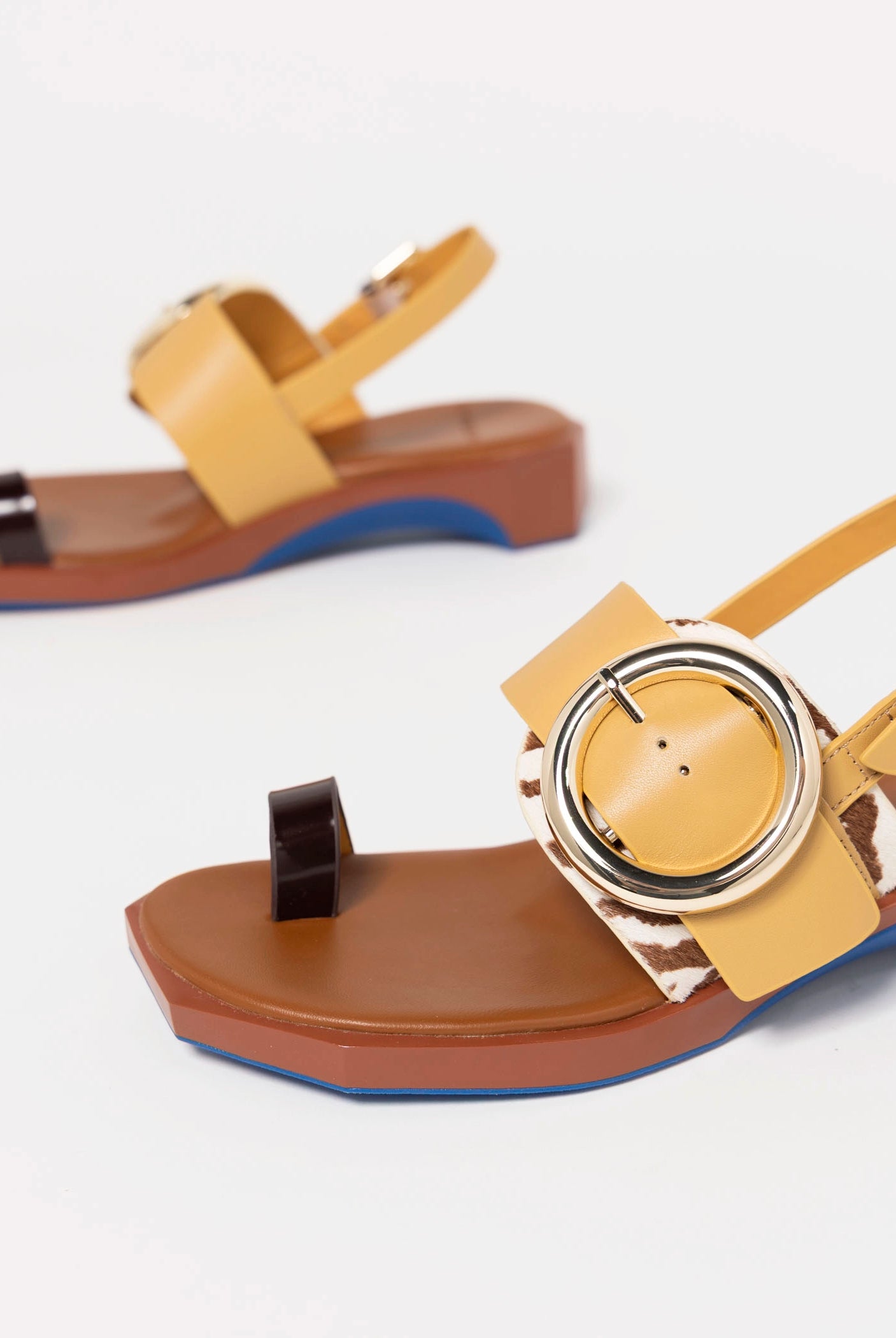 swatch_Zebra Mix 4CCCCees follin torus sandal