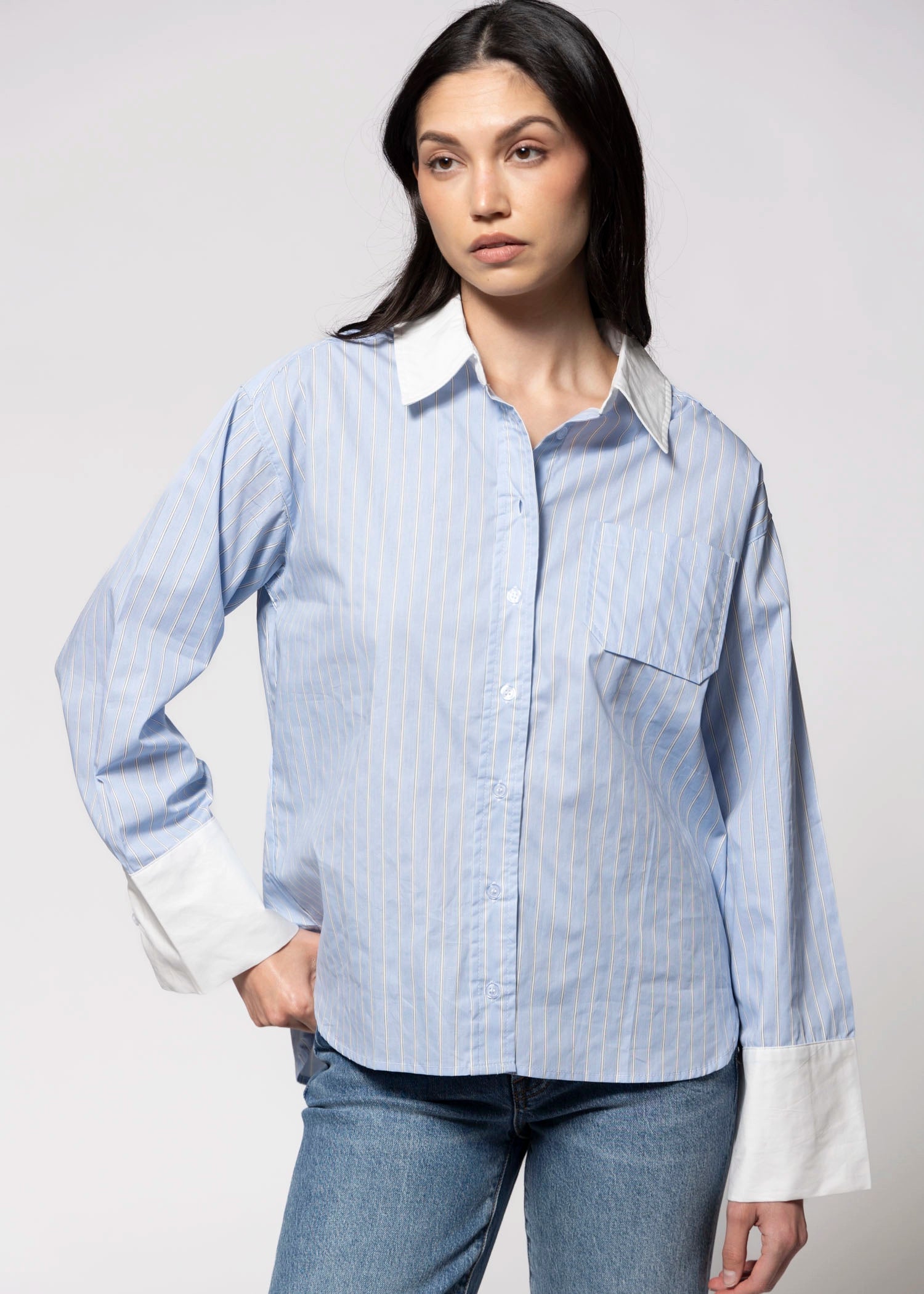 swatch_Blue striped button down shirt