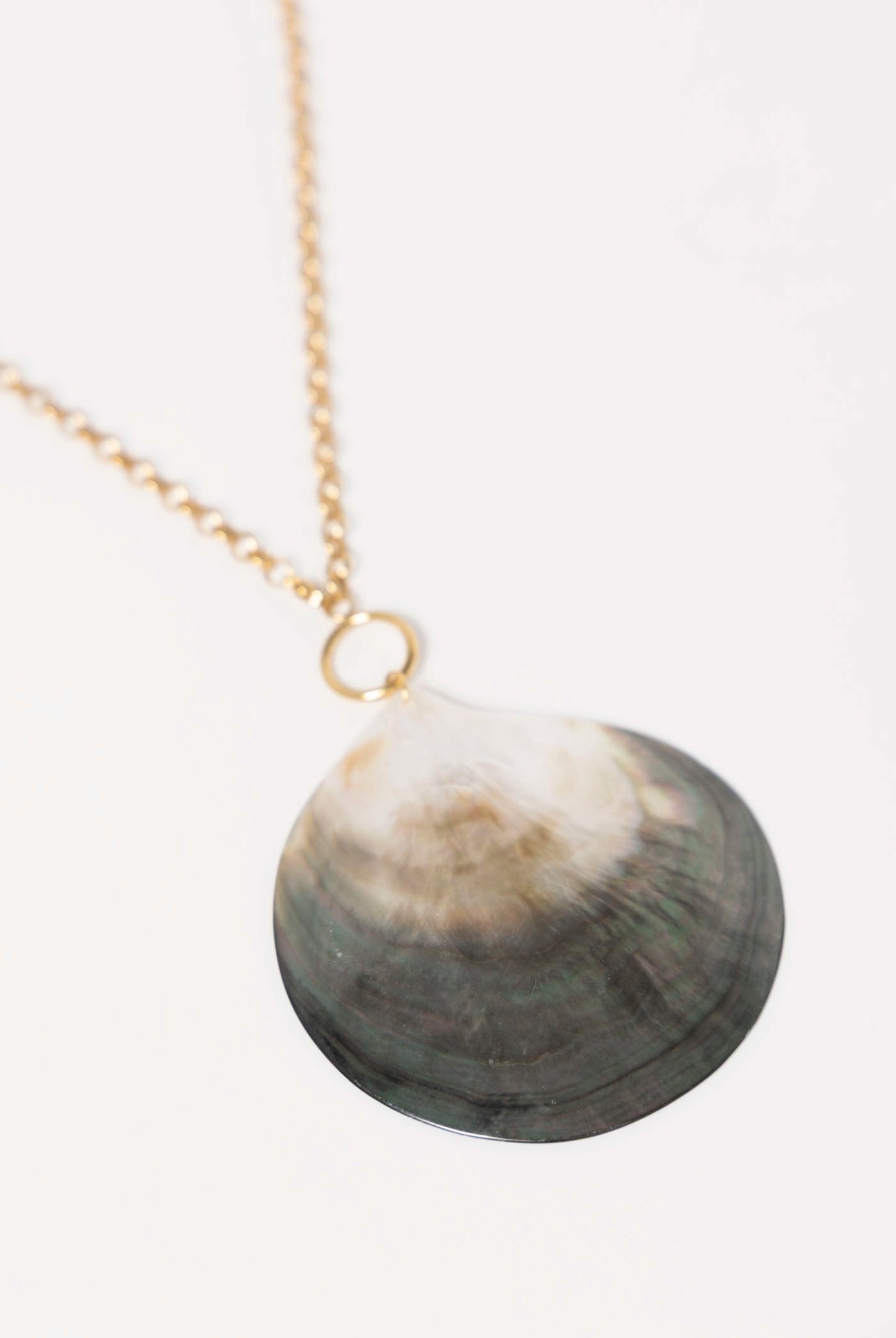 swatch_Shell shell pendant necklace