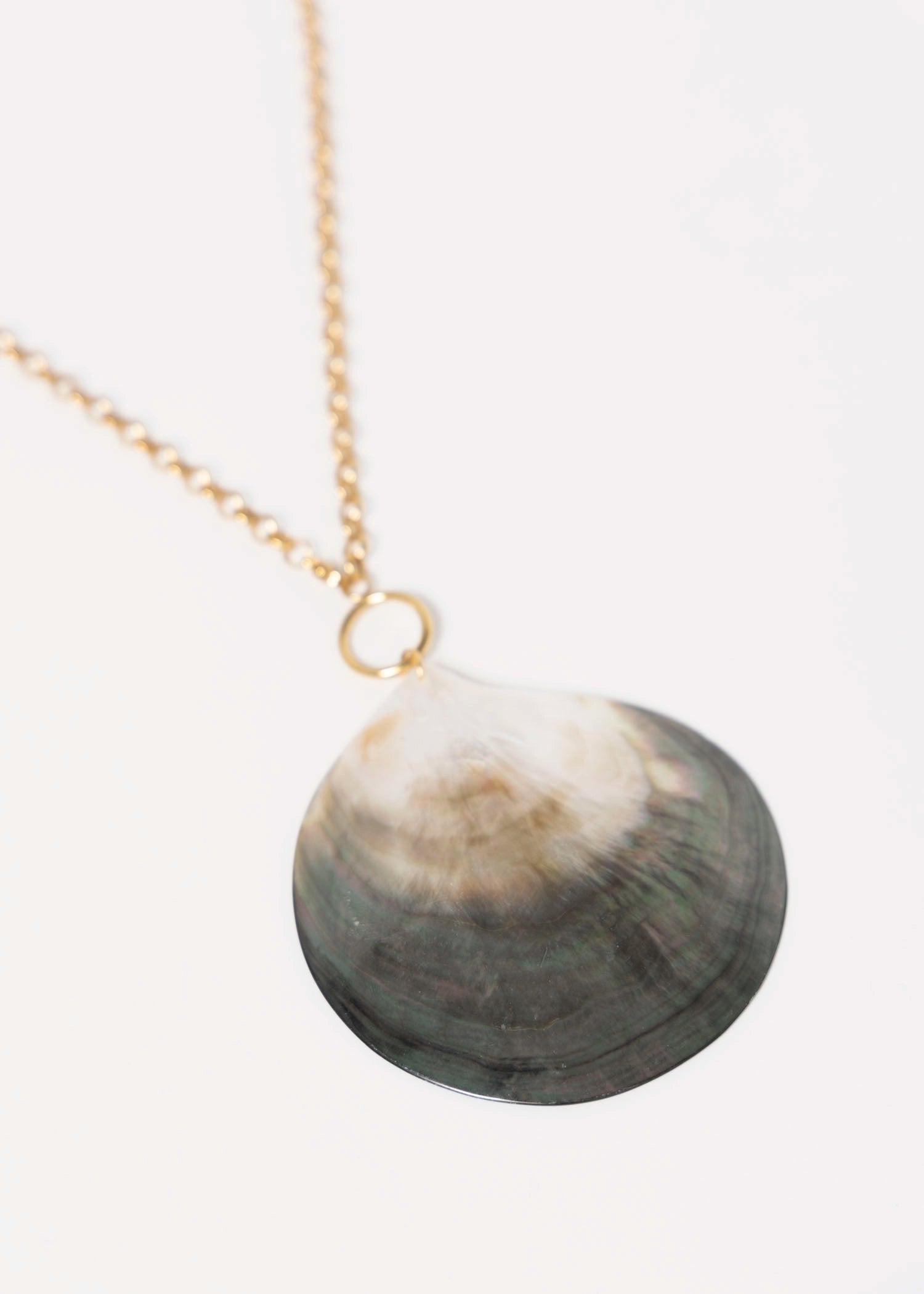 swatch_Shell shell pendant necklace