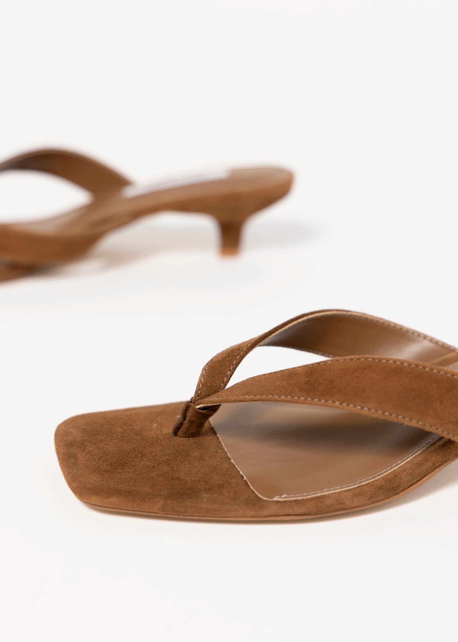 swatch_Chestnut Suede steve madden tracie thong sandal