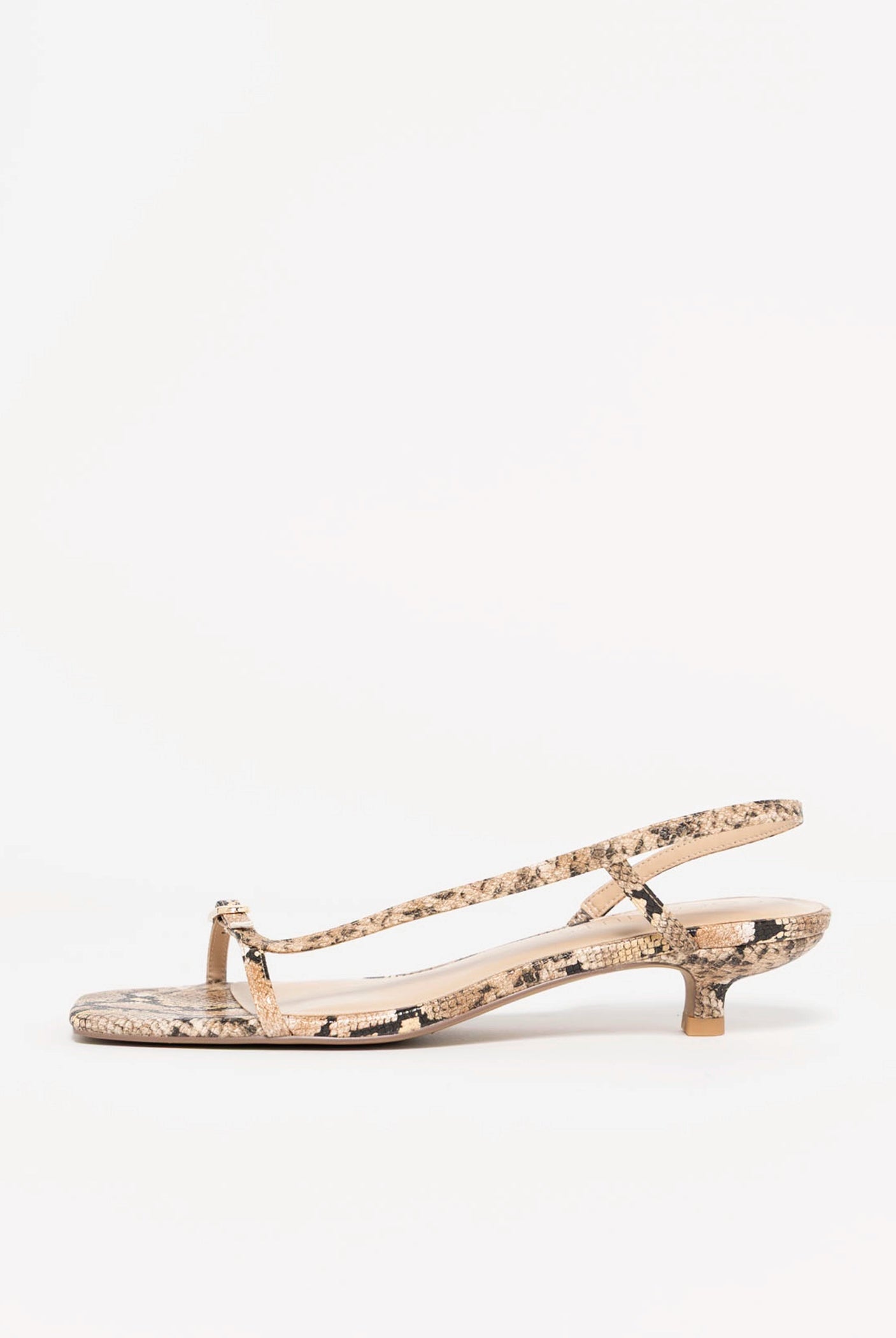 swatch_Tan Snake coconuts fernando kitten heel sandal