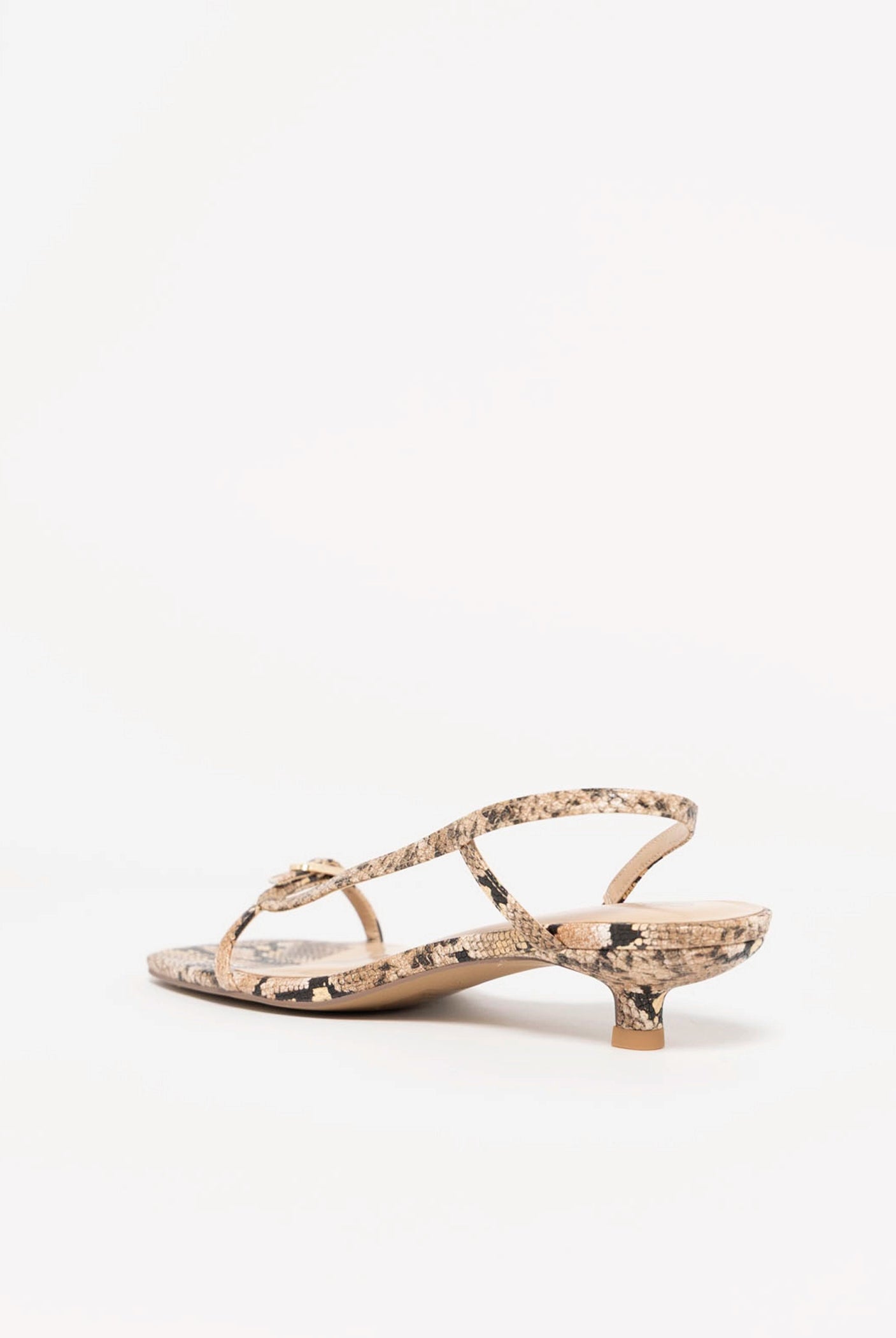 swatch_Tan Snake coconuts fernando kitten heel sandal