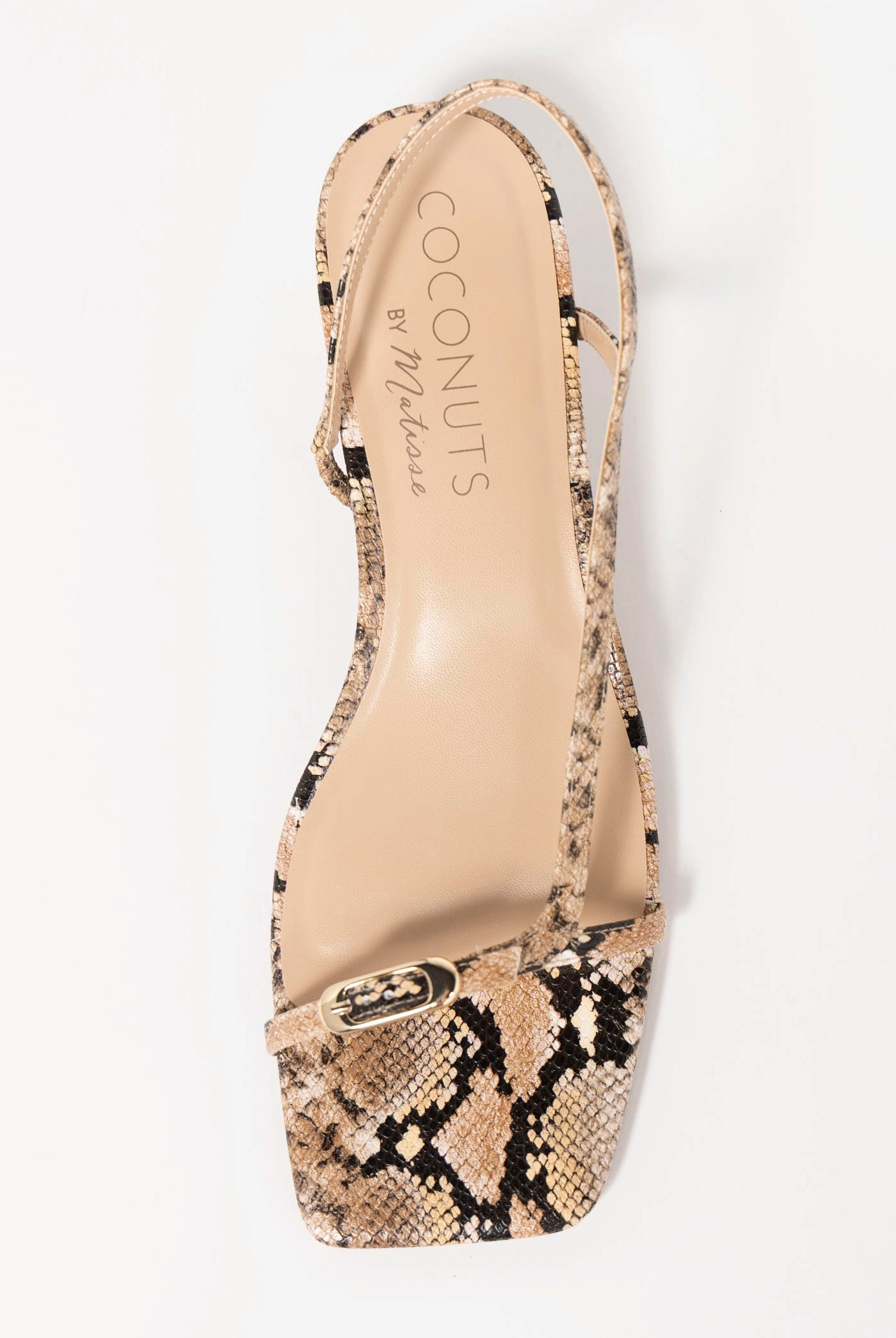 swatch_Tan Snake coconuts fernando kitten heel sandal