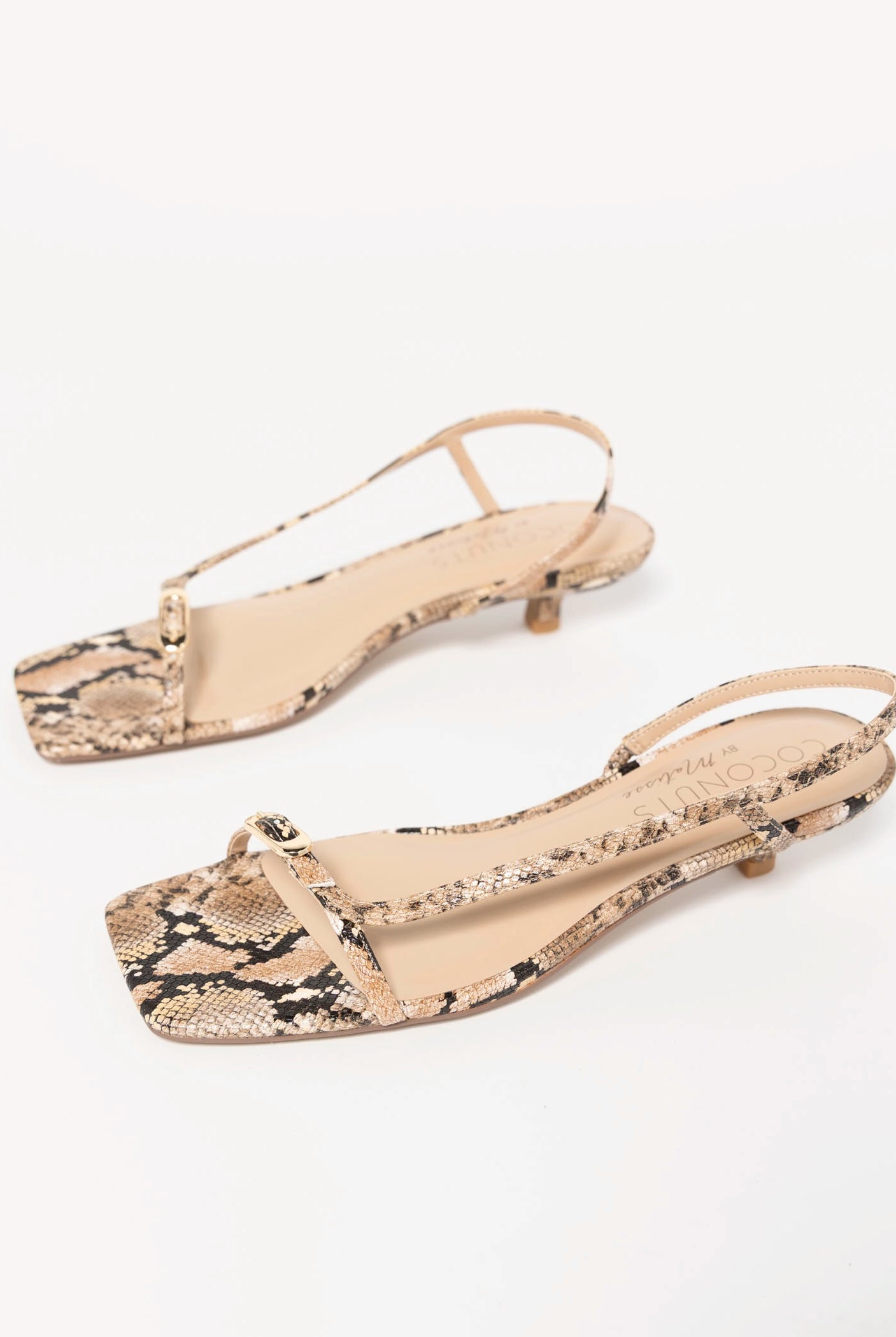 swatch_Tan Snake coconuts fernando kitten heel sandal