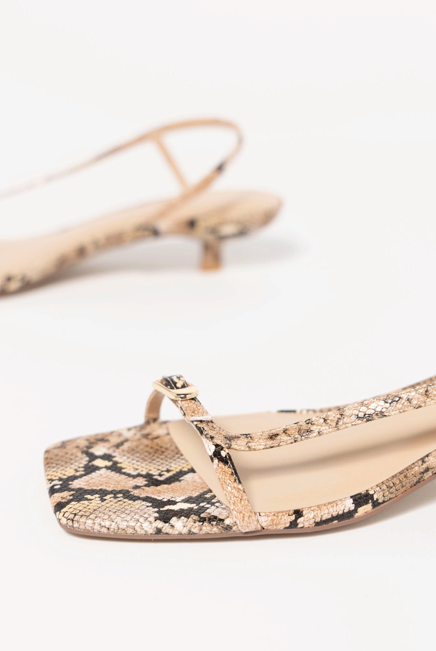 swatch_Tan Snake coconuts fernando kitten heel sandal