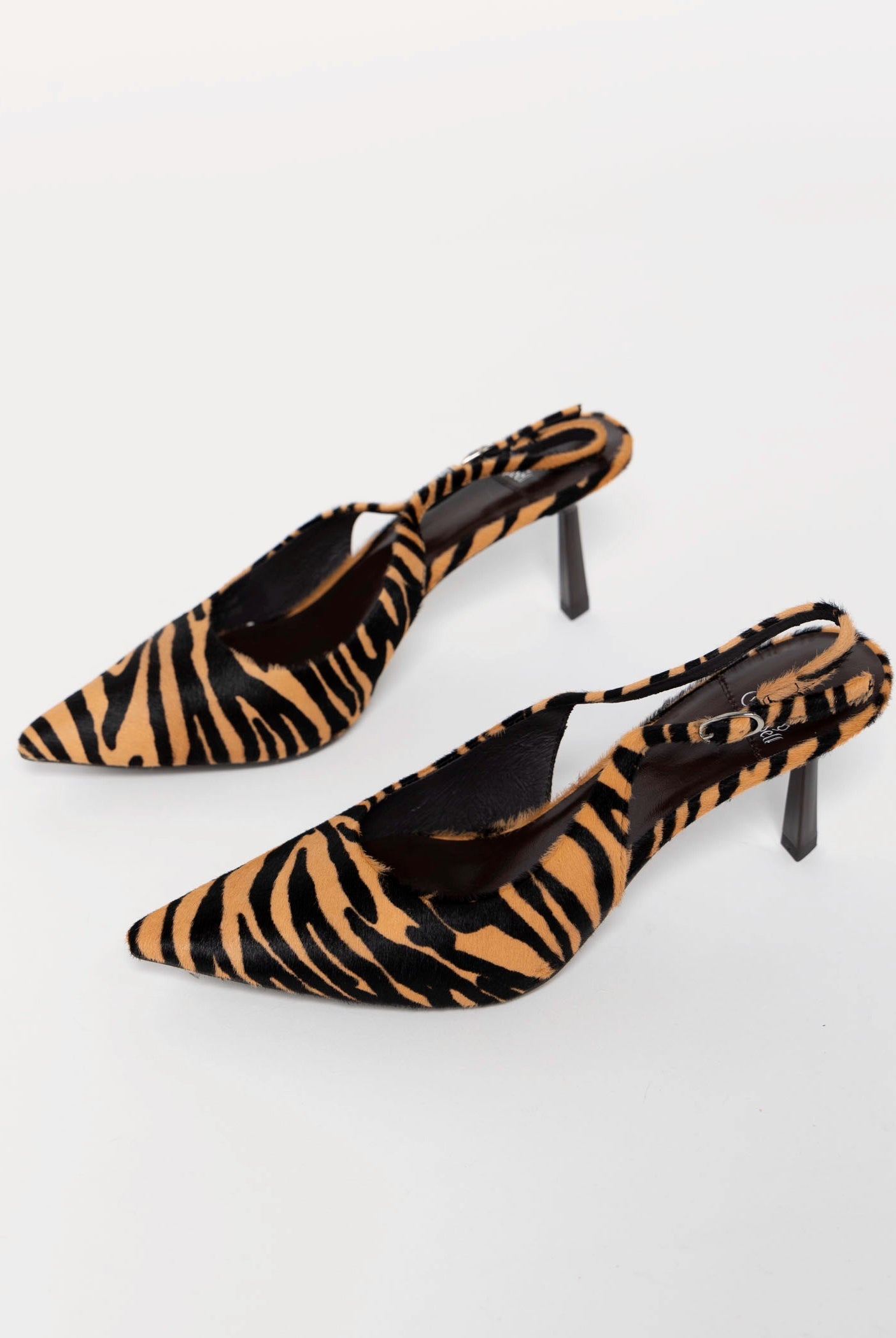 swatch_Zebra jeffrey campbell gambling slingback pump