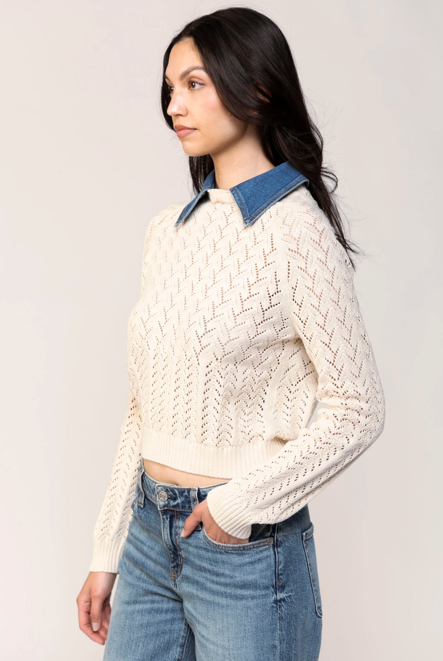 swatch_Ivory central park west hazel collared sweater
