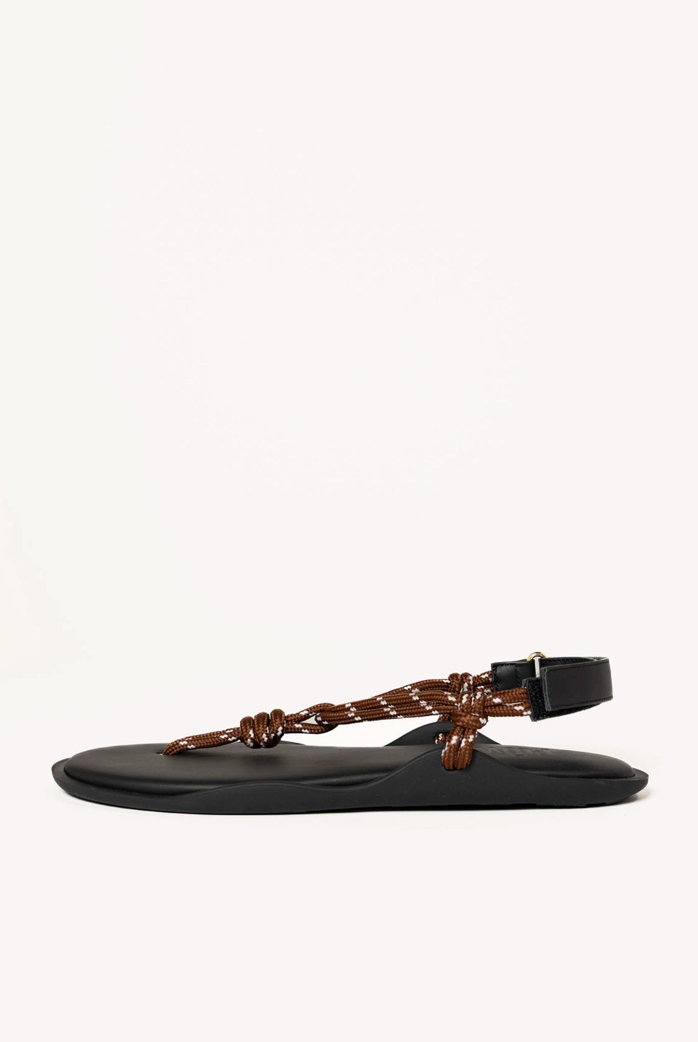 swatch_brown flo thong sandal flat sandals