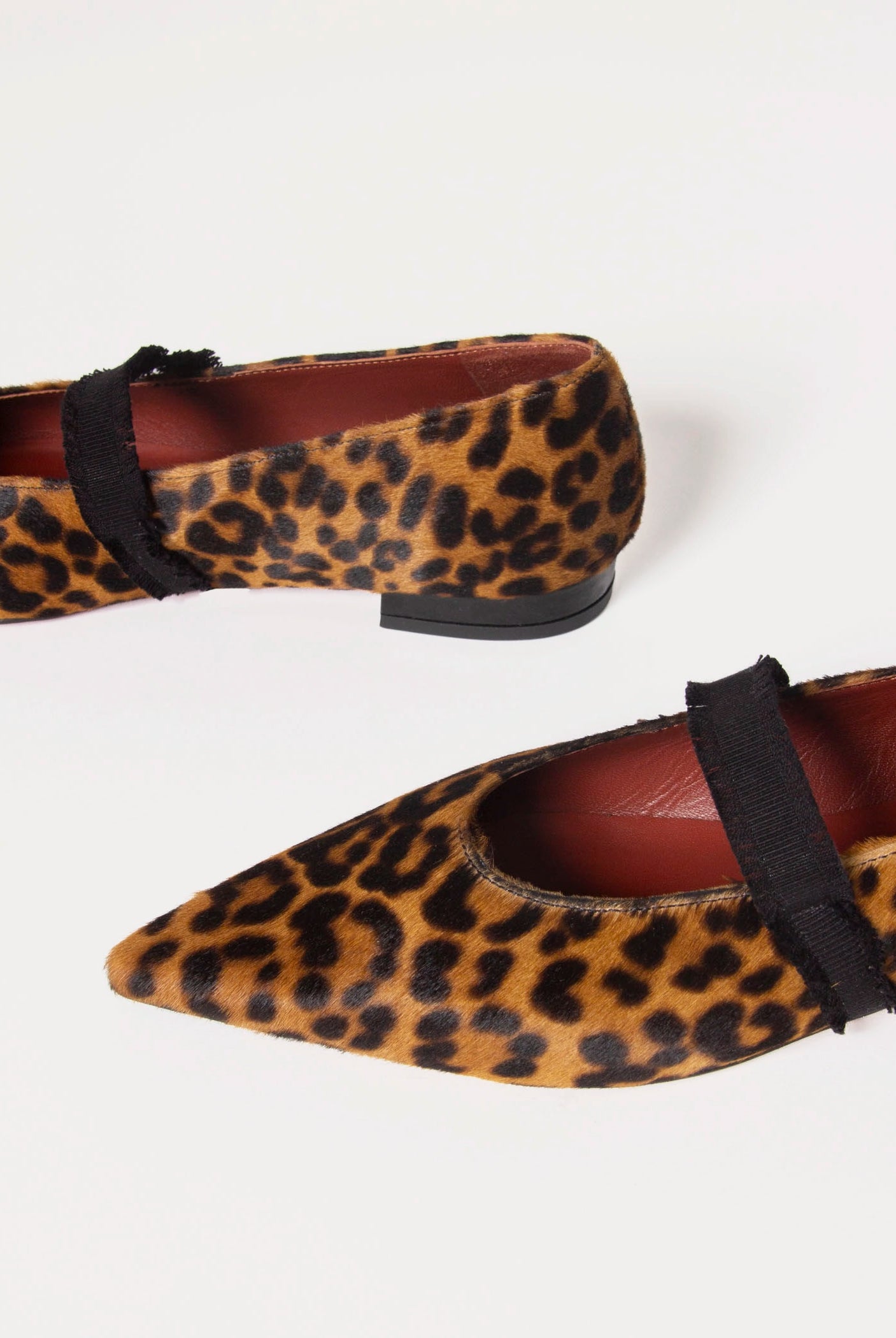 swatch_Leopard haircalf elior flat