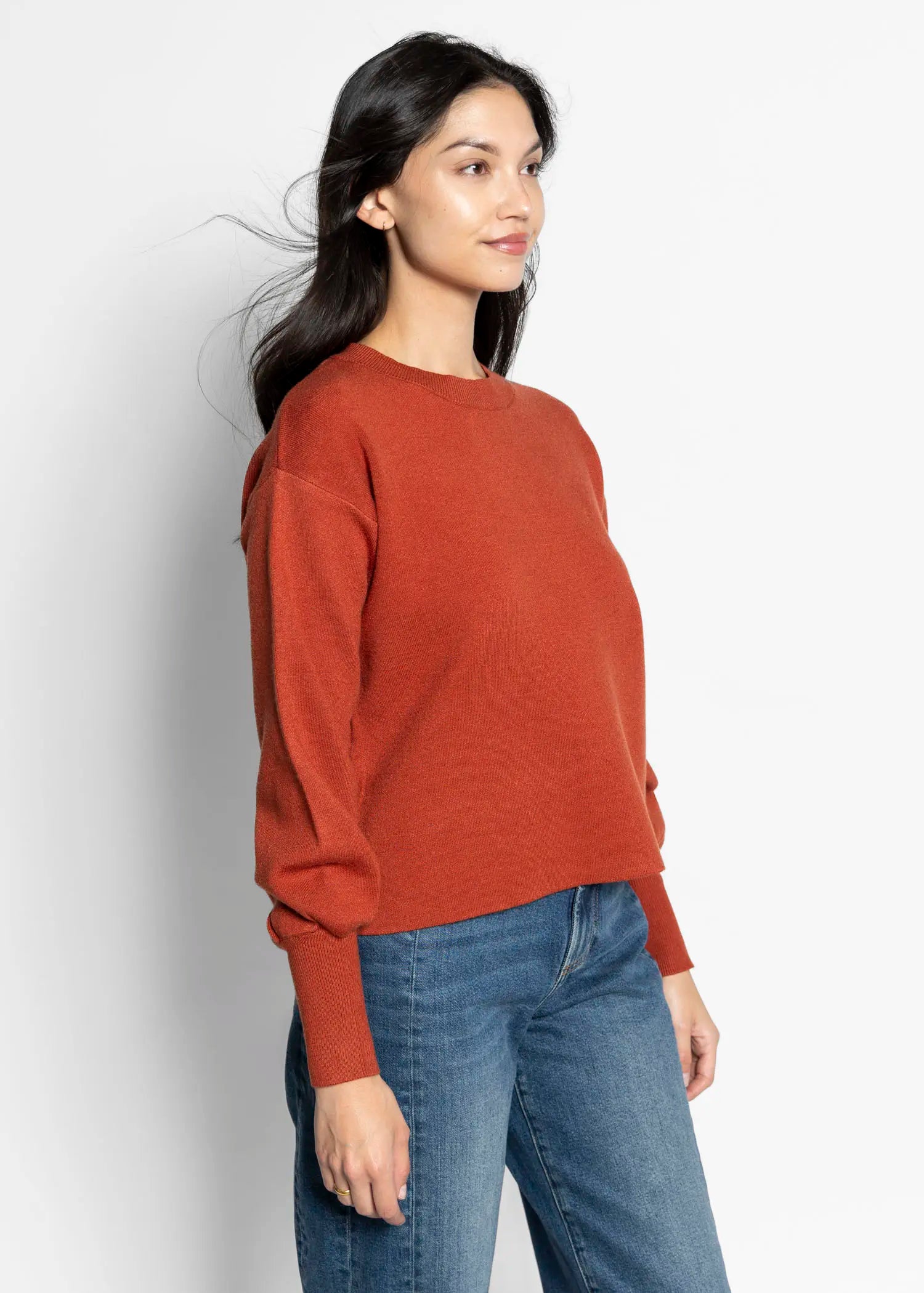 swatch_rust balloon sleeve sweater apparel