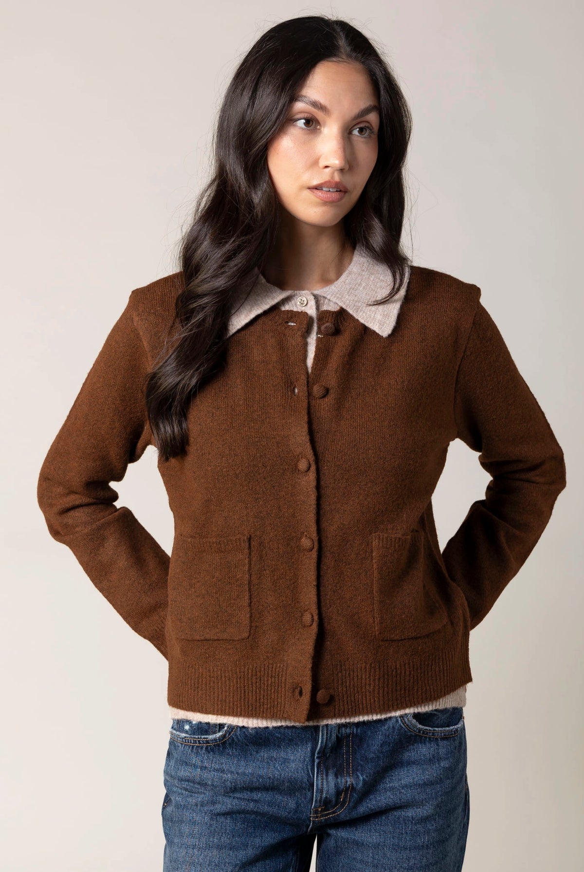 swatch_Chocolate blank nyc closer together sweater