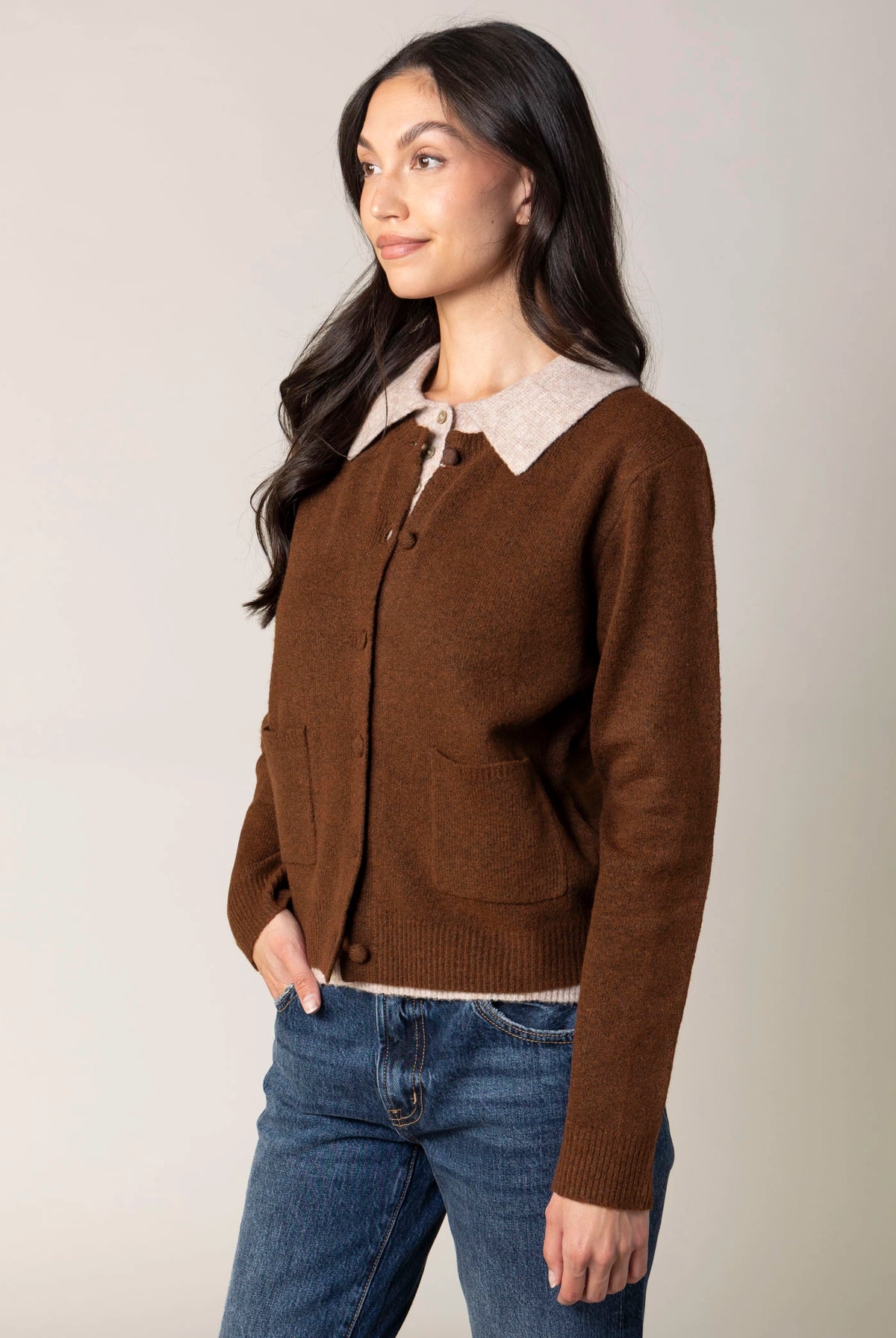 swatch_Chocolate blank nyc closer together sweater
