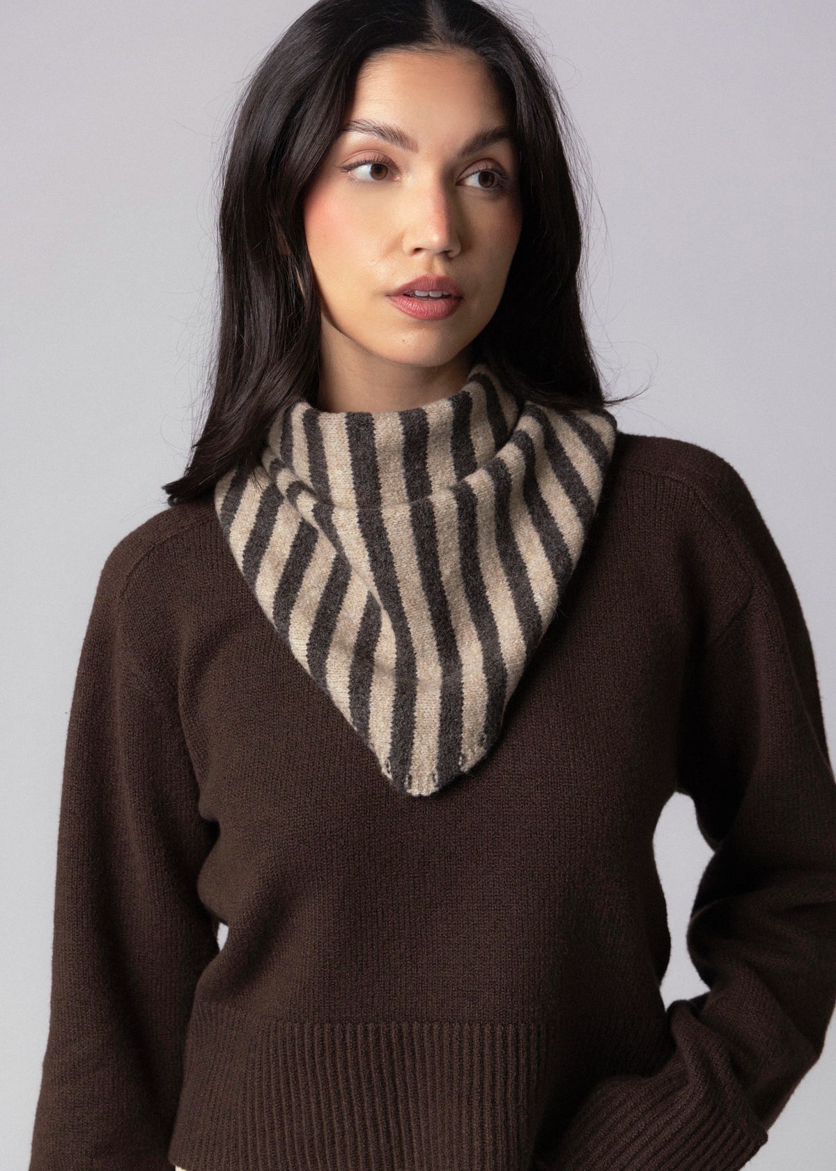 swatch_Brown striped triangle scarf