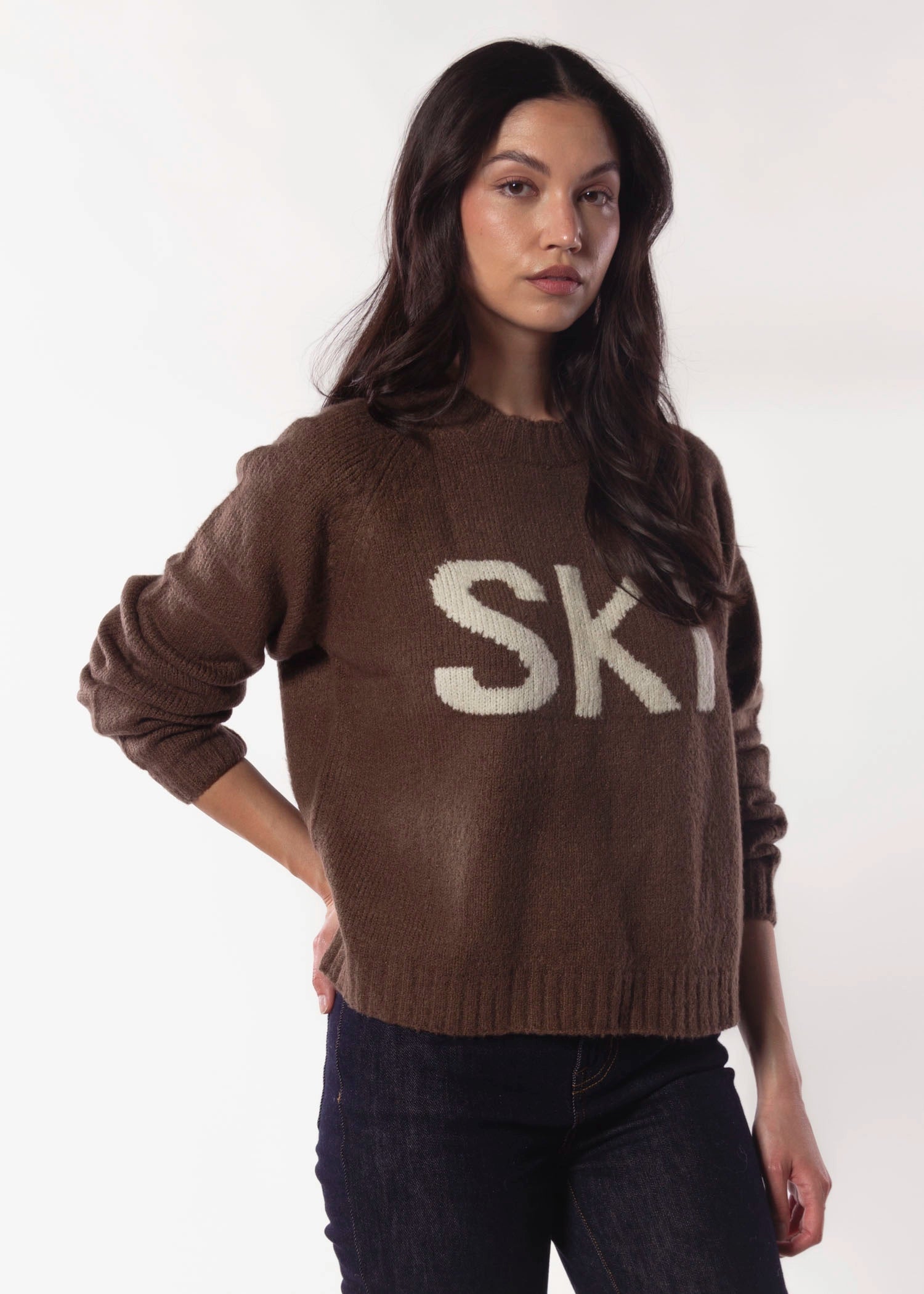 swatch_Sepia ski sweater