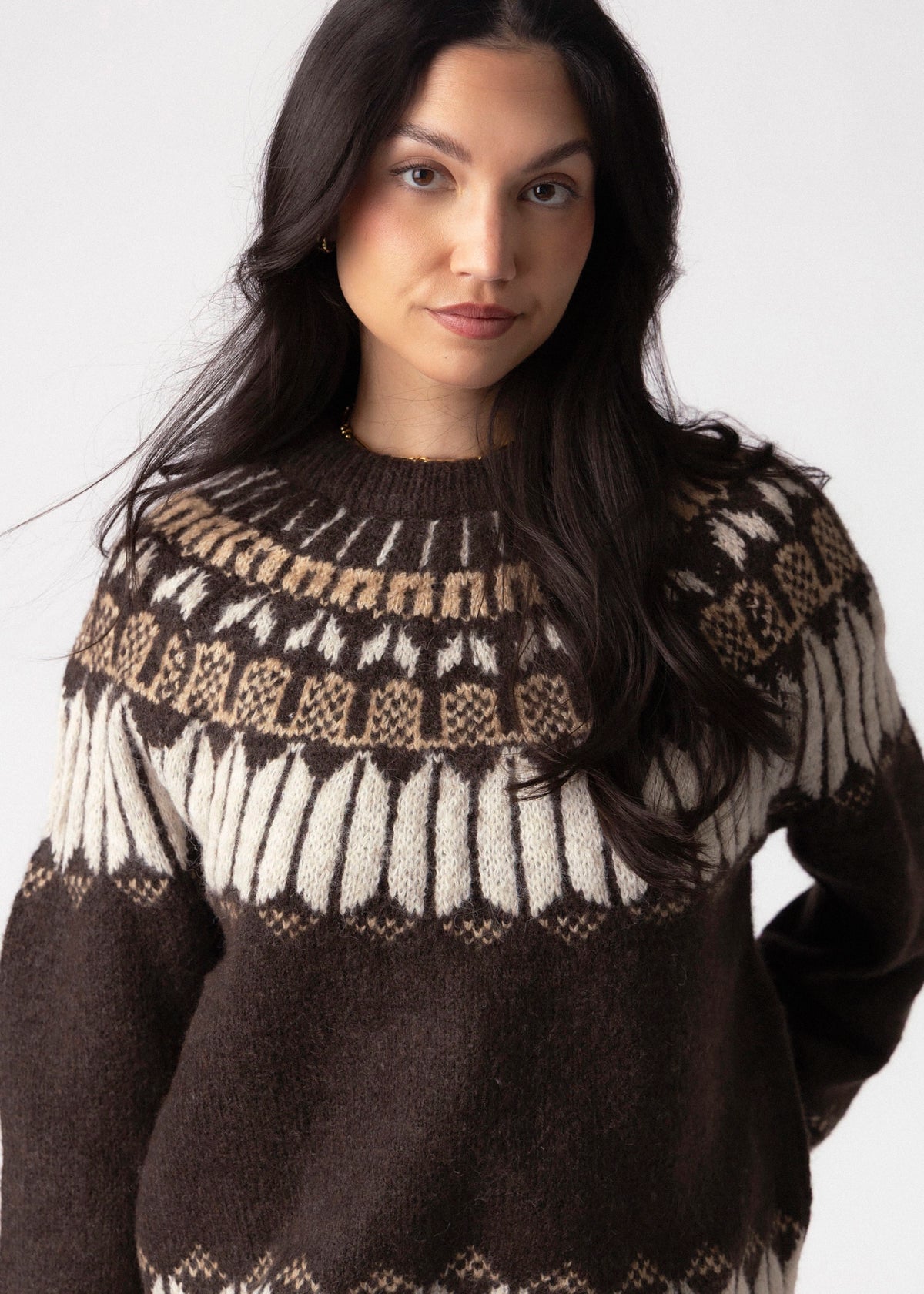 swatch_Brown rd style serafina fair isle sweater