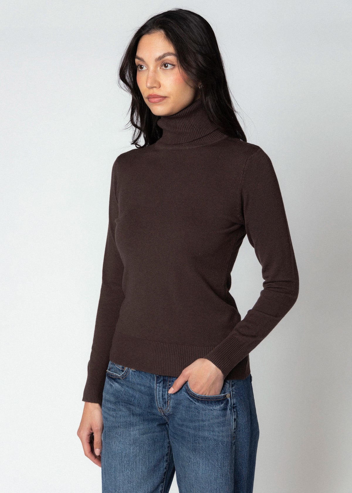 swatch_Chocolate deluc silene turtleneck sweater