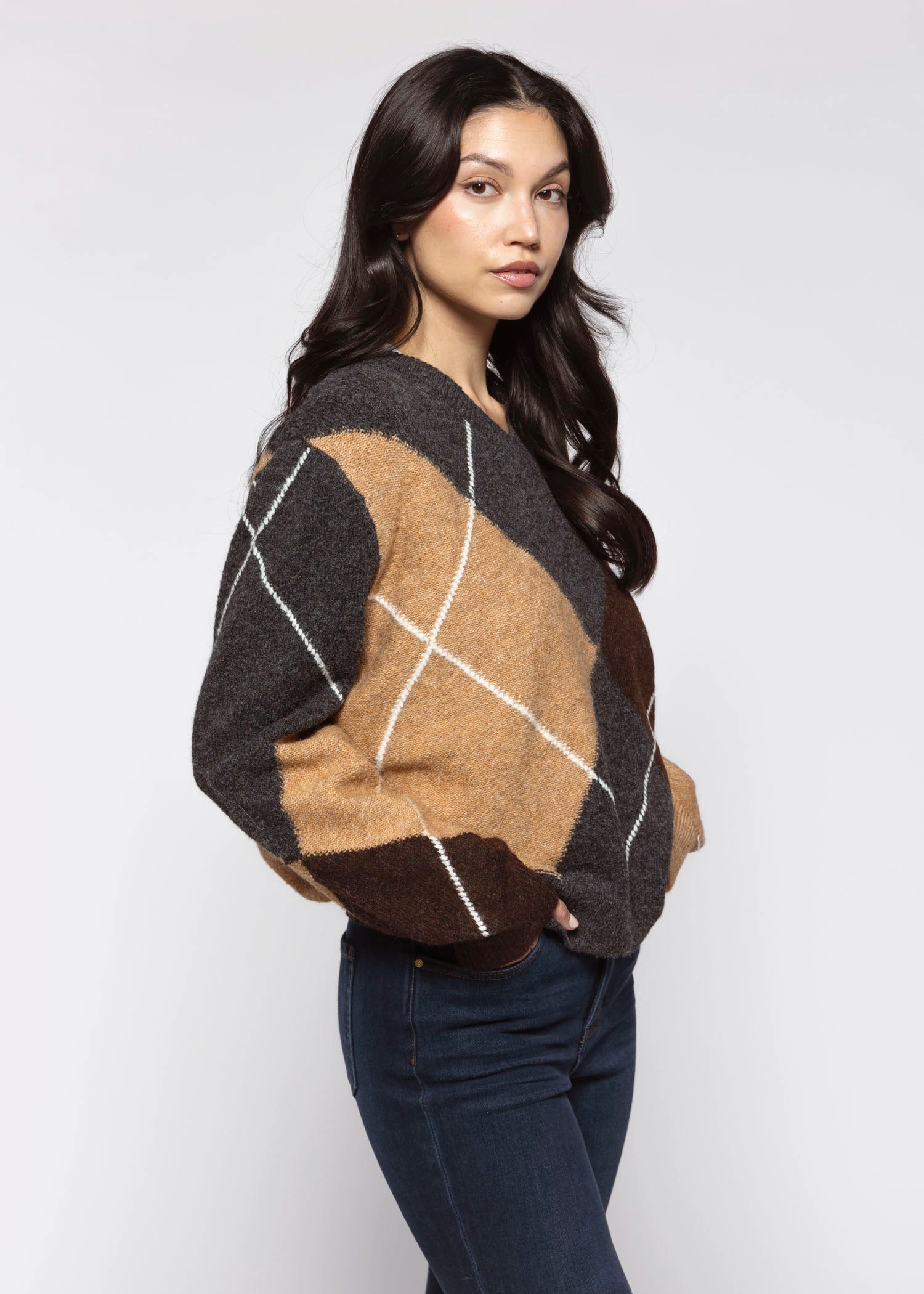 swatch_Grey/Brown argyle sweater