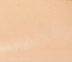 swatch_beige leather david leather pump heels