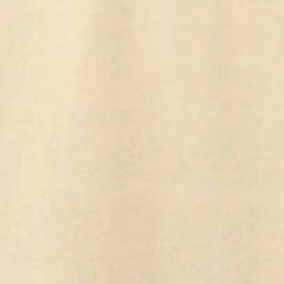 swatch_Beige a-line trench coat