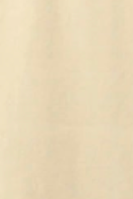 swatch_Beige a-line trench coat