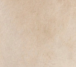 swatch_Birch dewi cape jackets