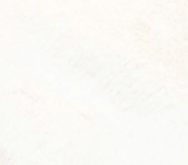 swatch_Birch fur utility jacket