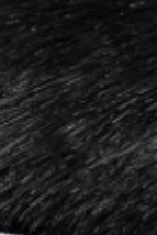 swatch_Black Haircalf l'idea haircalf penny loafer