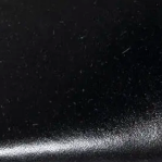 swatch_black leather pearl slingback maryjane ballet flats