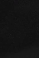 swatch_Black Leather blanca ankle boots