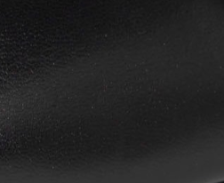swatch_Black Leather alohas rosalind ballet flat
