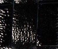 swatch_Black Patent l'idea flat fisherman sandal