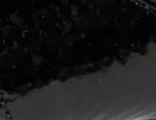 swatch_black patent laverne leather sandal flat sandals