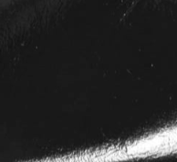 swatch_Black Patent slingback pump shoes