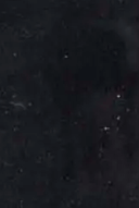 swatch_black suede ammaly platform sandal heeled sandals