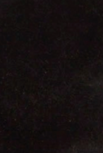 swatch_Black Suede kitten heel slingback shoes