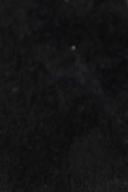 swatch_black timeless 2 platform sandal platform sandals