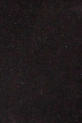 swatch_black suede fredine tall boot