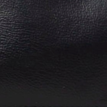 swatch_Black remi/reid ella mini tote