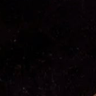 swatch_Black ghost sneakers