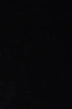 swatch_Black stirrup leggings