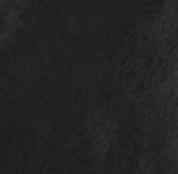 swatch_Black etienne long leather gloves