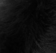 swatch_Black faux fur earmuffs