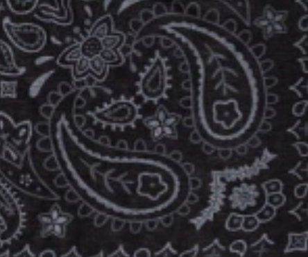 swatch_Black bandana scarf