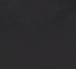 swatch_Black floral mesh top