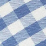 swatch_blue meg gingham mary jane flat shoes